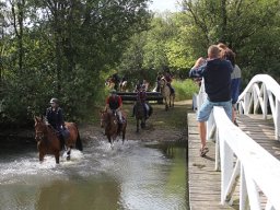 IMG_7122-046